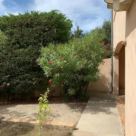 Studio En Rez-De-Jardin Arbore Avec Acces Piscine Et Clim Villeneuve-lès-Avignon Extérieur photo