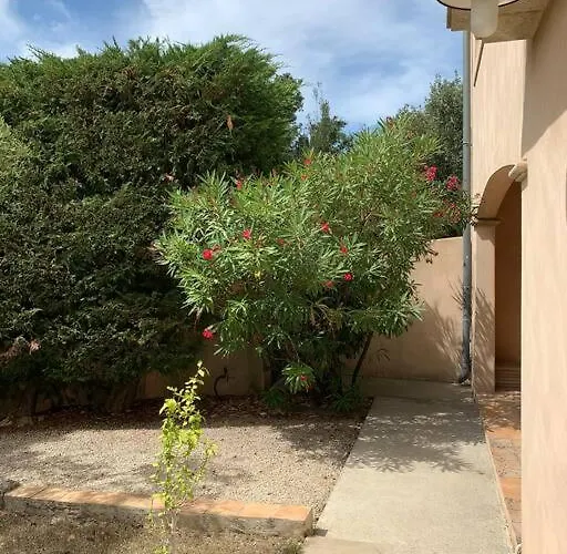 Studio En Rez-De-Jardin Arbore Avec Acces Piscine Et Clim