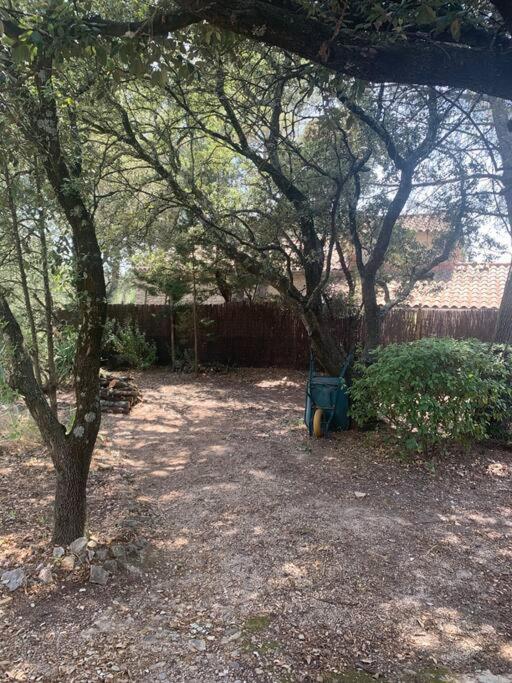En Rez-de-jardin Arbore Avec Acces Piscine Et Clim Villeneuve-lès-Avignon